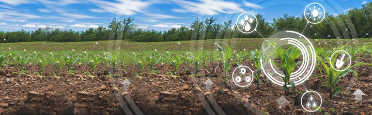 La Biología Molecular en el campo