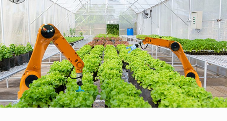 10 preguntas para un robot agricultor