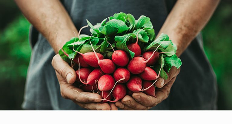 ¿La agricultura orgánica puede solucionar el hambre?