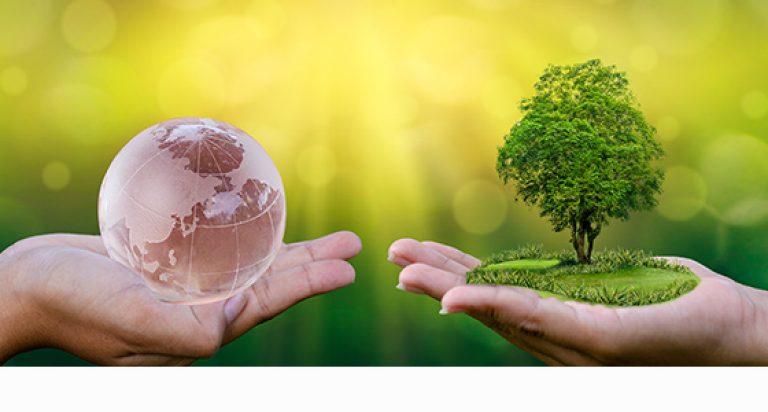 ¿Qué puede hacer el agro por el cambio climático? 