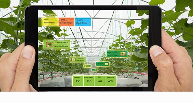 Realidad Aumentada puede beneficiar a los agricultores