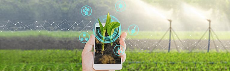 Tu cultivo en la palma de tu mano