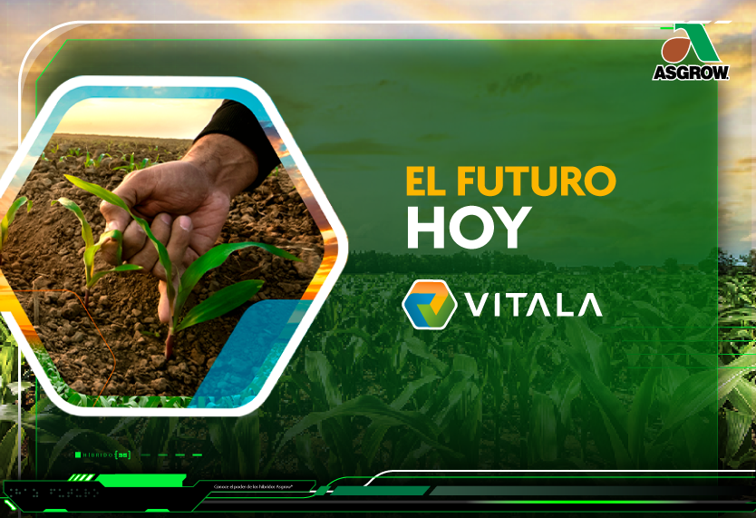 Punto de venta